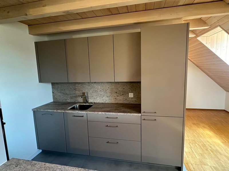 Renovierte 3.5-Zimmer-Dachwohnung - neue Küche (3)