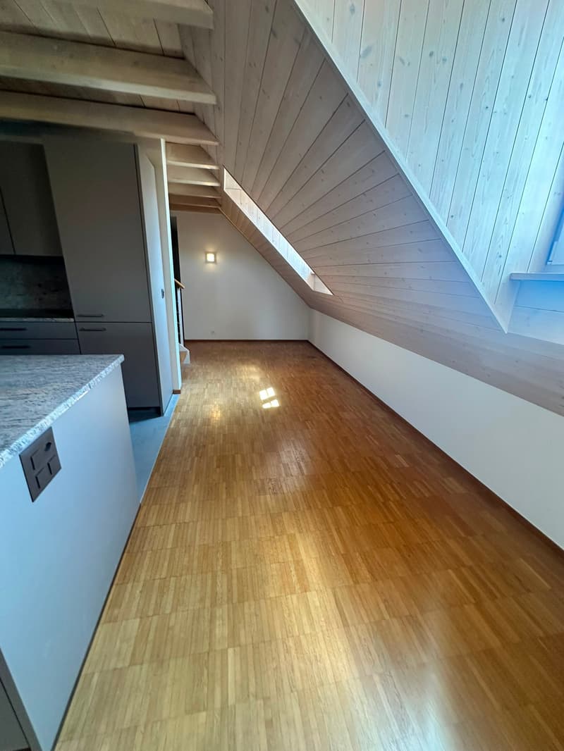 Renovierte 3.5-Zimmer-Dachwohnung - neue Küche (6)