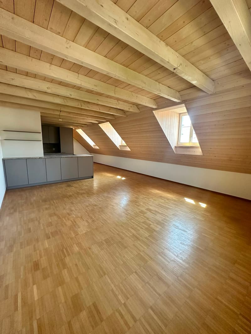 Renovierte 3.5-Zimmer-Dachwohnung - neue Küche (5)