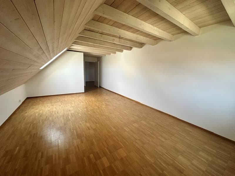 Renovierte 3.5-Zimmer-Dachwohnung - neue Küche (8)