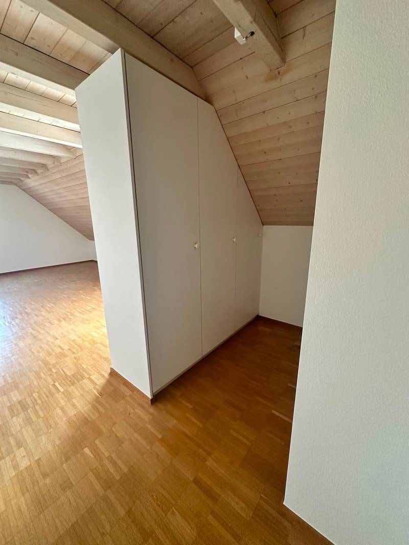 Renovierte 3.5-Zimmer-Dachwohnung - neue Küche (12)