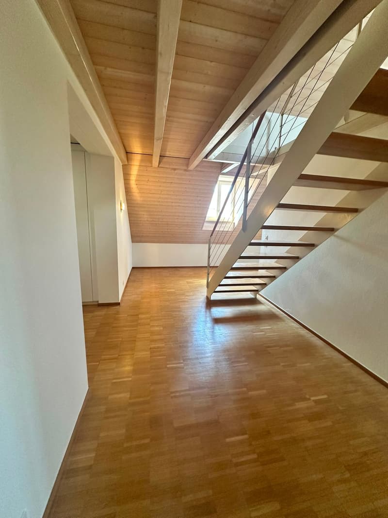 Renovierte 3.5-Zimmer-Dachwohnung - neue Küche (14)