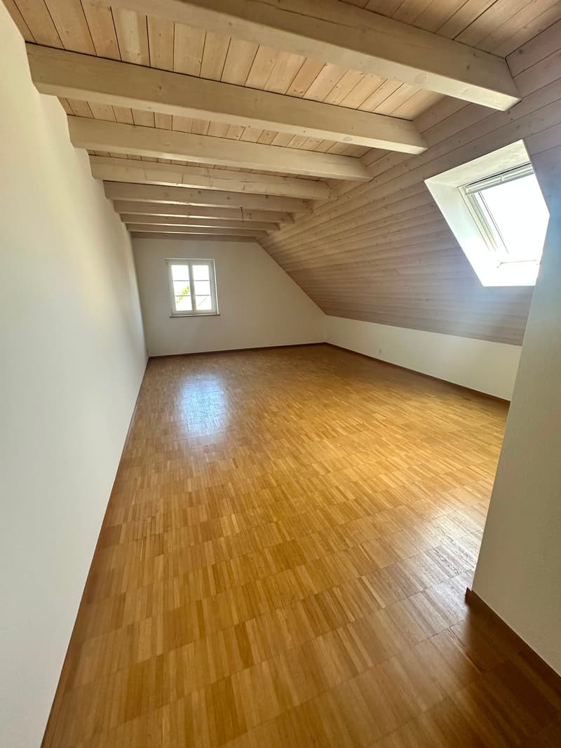 Renovierte 3.5-Zimmer-Dachwohnung - neue Küche (10)