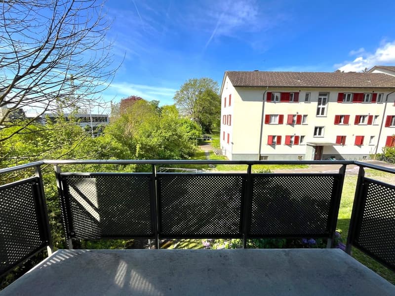 Helle 3.5-Zimmer-Wohnung mit Balkon - neue Küche (14)