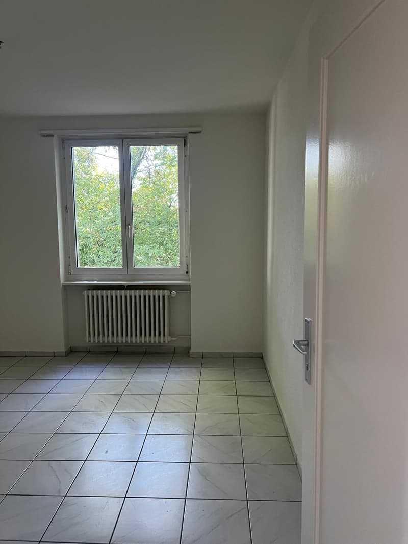 Helle 3.5-Zimmer-Wohnung mit Balkon - neue Küche (10)