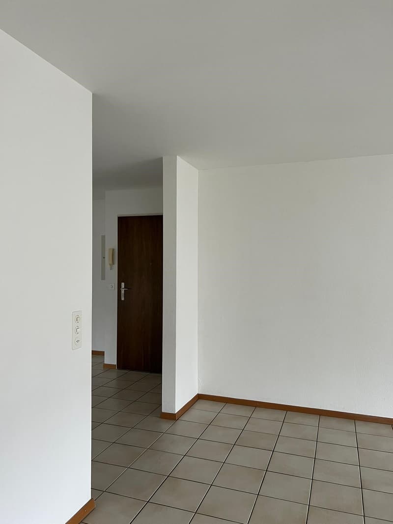Schöne 3.5 Zimmer Wohnung mit Balkon und neuer Küche (5)
