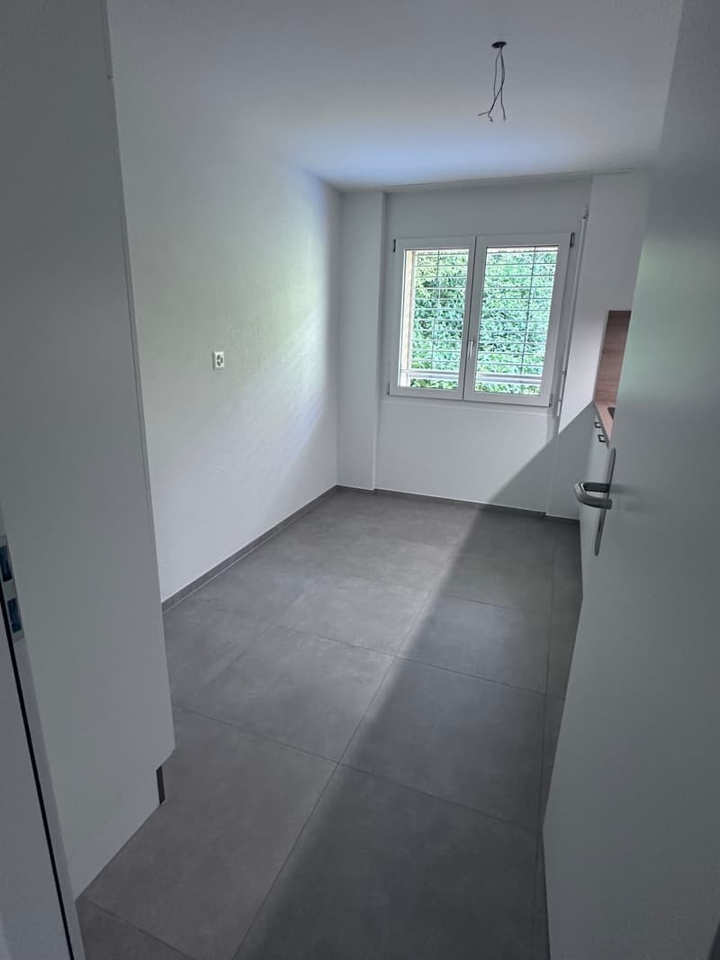 Kürzlich sanierte, moderne 3 Zimmer Wohnung mit Balkon – sofort verfügbar! (6)