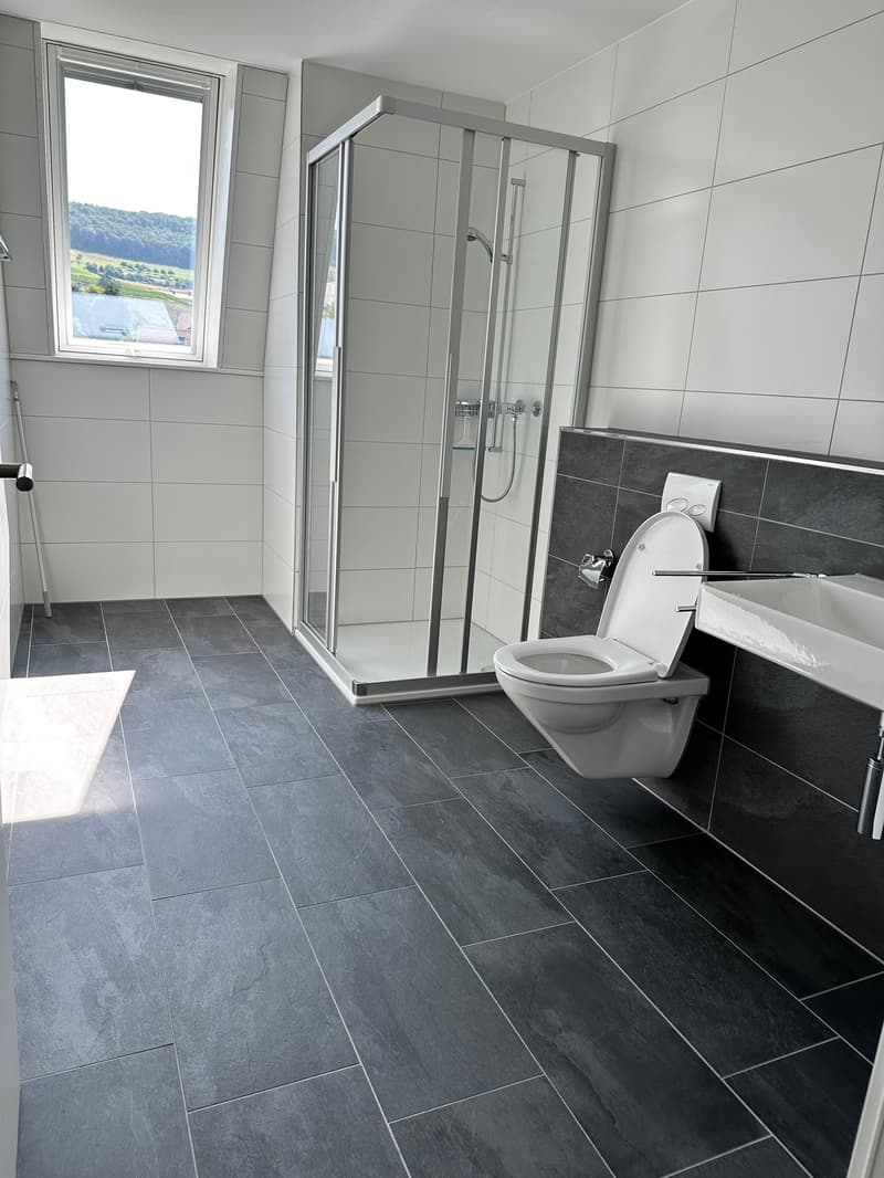 Top moderne 4.5-Zimmer-Dachwohnung ca. 175m2 mit grossem Balkon mit Blick ins Grüne (22)