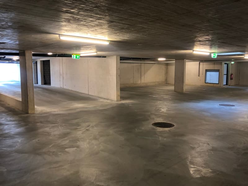 Top moderne 4.5-Zimmer-Dachwohnung ca. 175m2 mit grossem Balkon mit Blick ins Grüne (27)