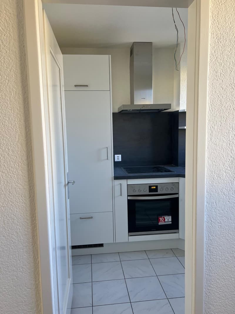 Helle 3.5-Zimmer-Wohnung mit Balkon - neue Küche (3)