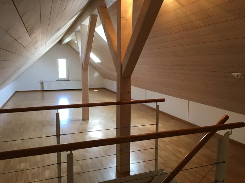 Renovierte 3.5-Zimmer-Dachwohnung - neue Küche (15)
