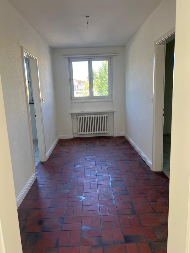 Teilrenovierte 3.5-Zimmer-Wohnung mit neuer Küche (6)