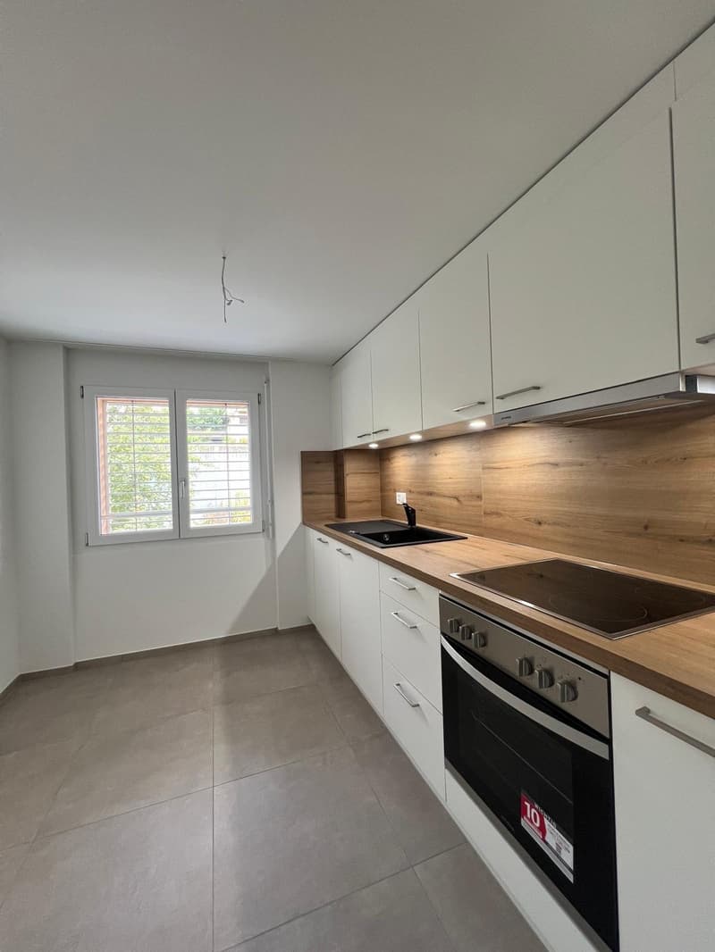 Frisch sanierte, moderne 3 Zimmer Wohnung mit Balkon – sofort verfügbar! (1)