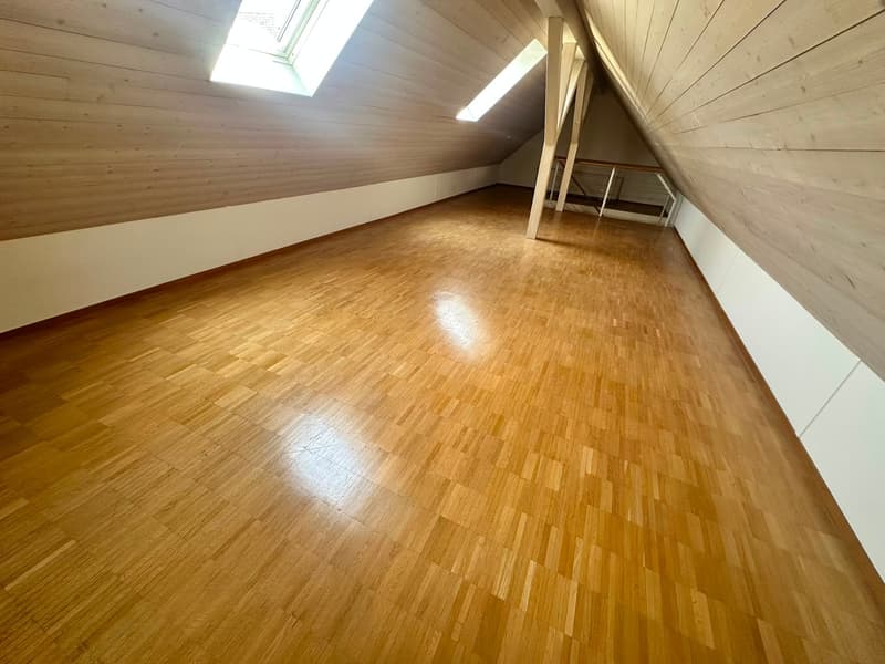 Renovierte 3.5-Zimmer-Dachwohnung - neue Küche (15)