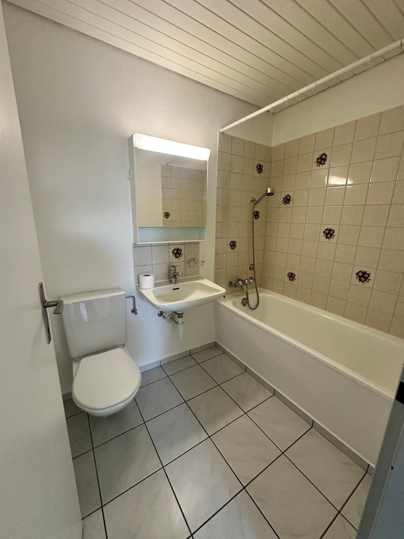 Grosszügige 3.5 Zimmer Dachgeschosswohnung (7)