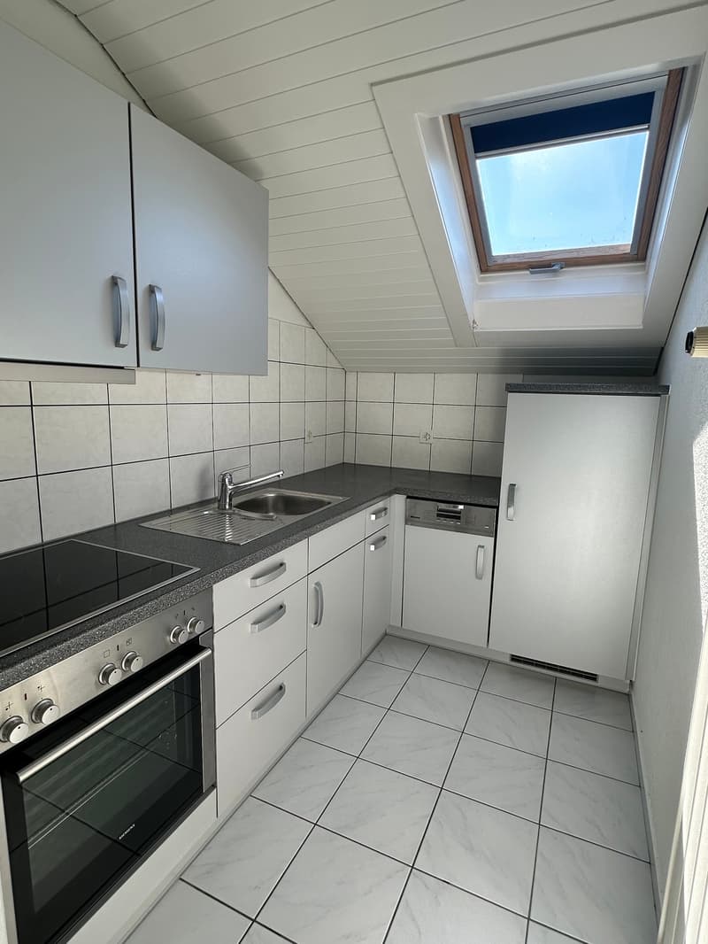 Grosszügige 3.5 Zimmer Dachgeschosswohnung (1)