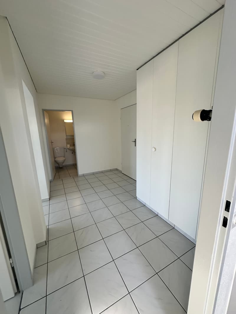 Grosszügige 3.5 Zimmer Dachgeschosswohnung (5)