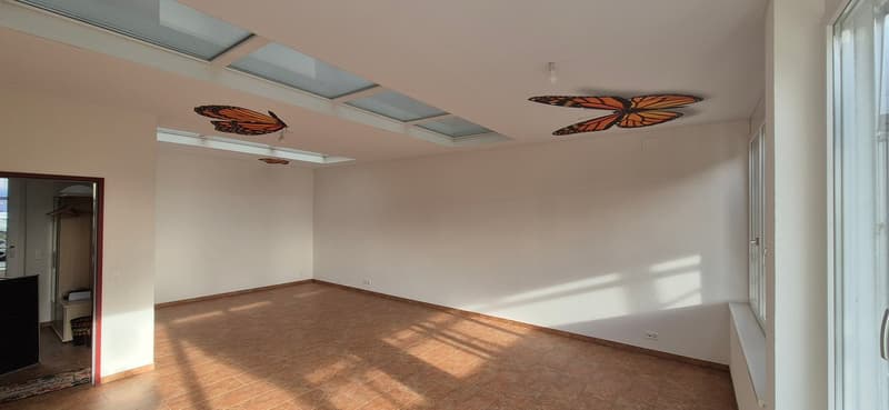 Empty room, tile floor, white walls, window, butterfly-themed ceiling, wooden entry with wardrobe