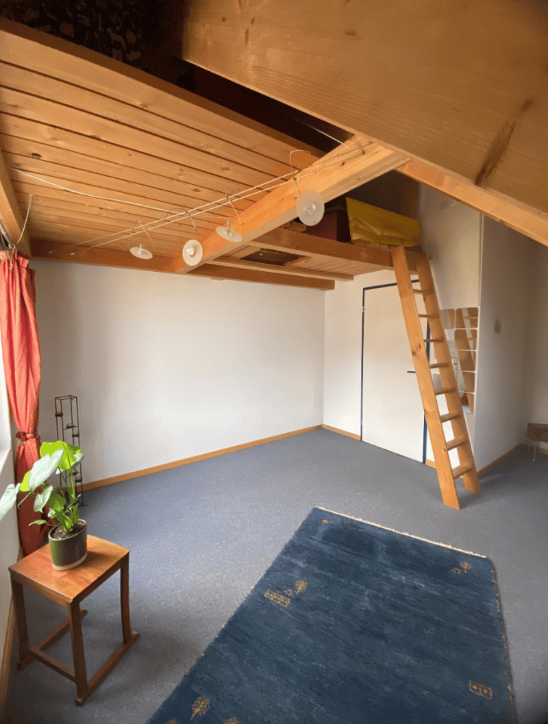 Empty room with wooden ceiling, ladder leading to attic, potted plant on a table, blue rug