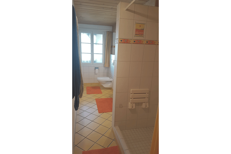 tiled floor, white walls, shower with grab bar, toilet, window with white frame, orange rugs, towel hanging on rack