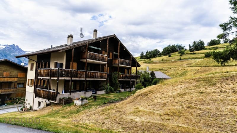 Appartamento ristrutturato di alta qualità nel charme alpino in posizione centrale (3)