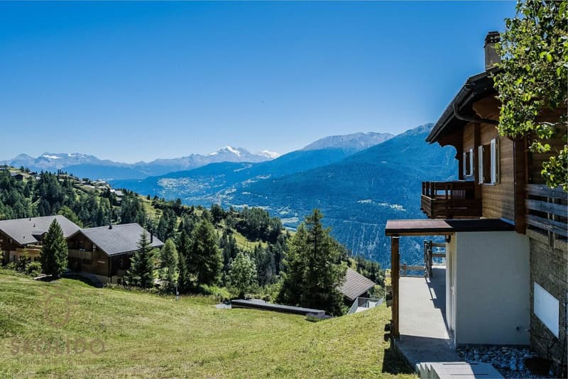 Gepflegtes und modernisiertes Chalet mit Einliegerwohnung und Traumausblick (29)