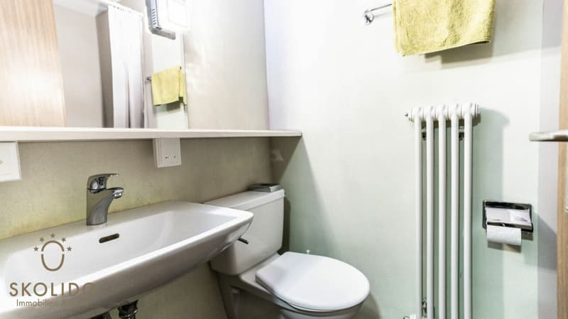 Renoviertes Studio-Apartment am Trainerlift Alpenrose mit Traumaussicht (11)