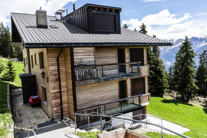 Grosses Studio-Apartment mit unverbaubarem Weitblick in der Aletscharena (15)
