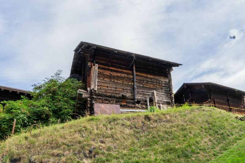 Walliser Stadel - Fiesch (4)