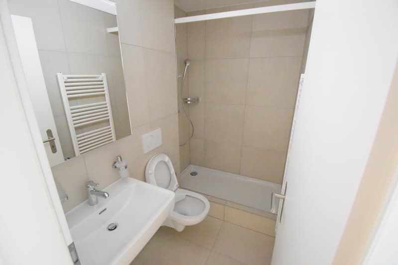 Gemütliche 2.5-Zimmer-Wohnung im 3. OG an zentraler Lage in Solothurn (6)