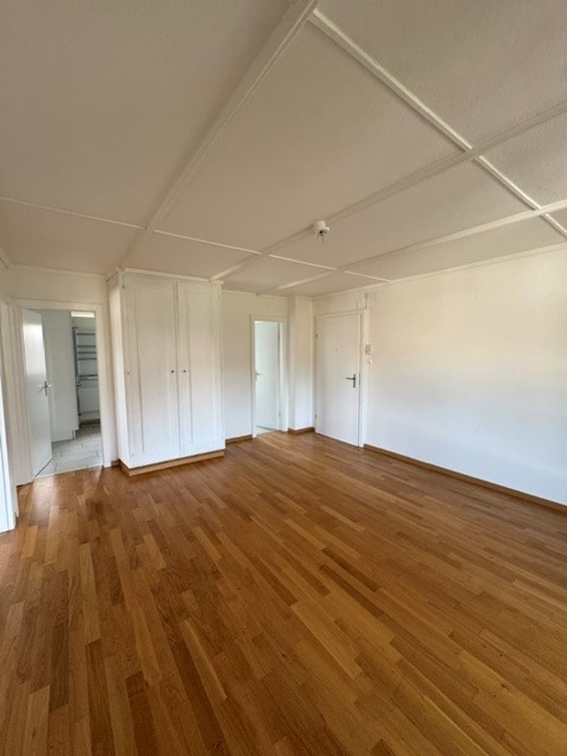 3-Zimmerwohnung an ruhiger und zentraler Lage (1)