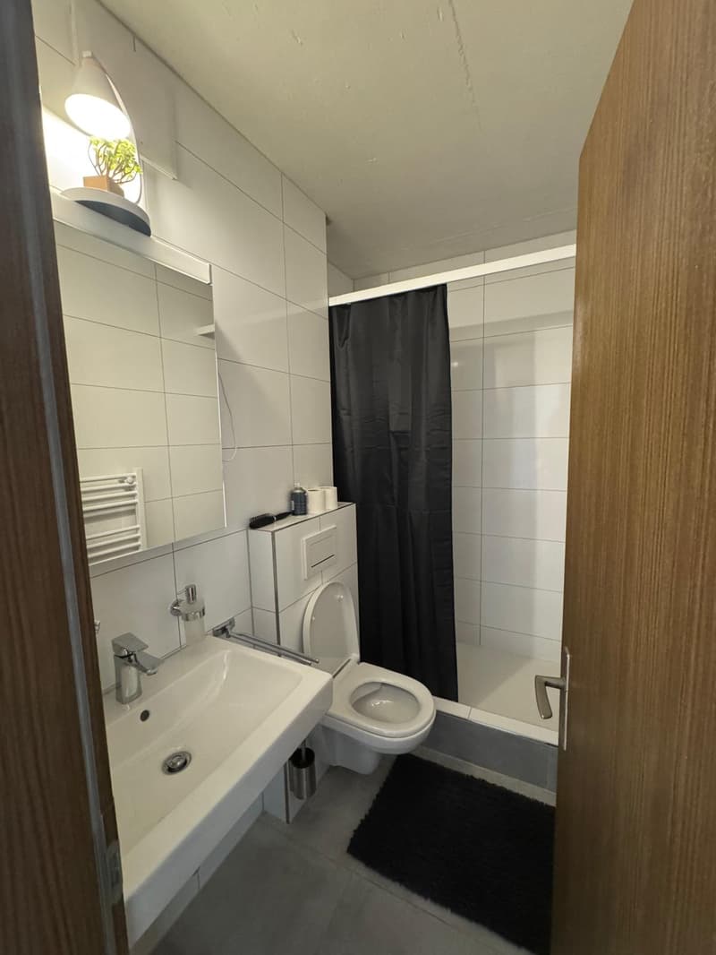 2.5 Zimmerwohnung mitten in der Altstadt (3)
