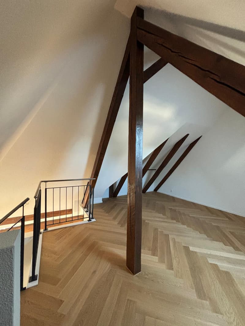 Wunderschöne, frisch kernsanierte Maisonette-Wohnung – sofort verfügbar! (7)