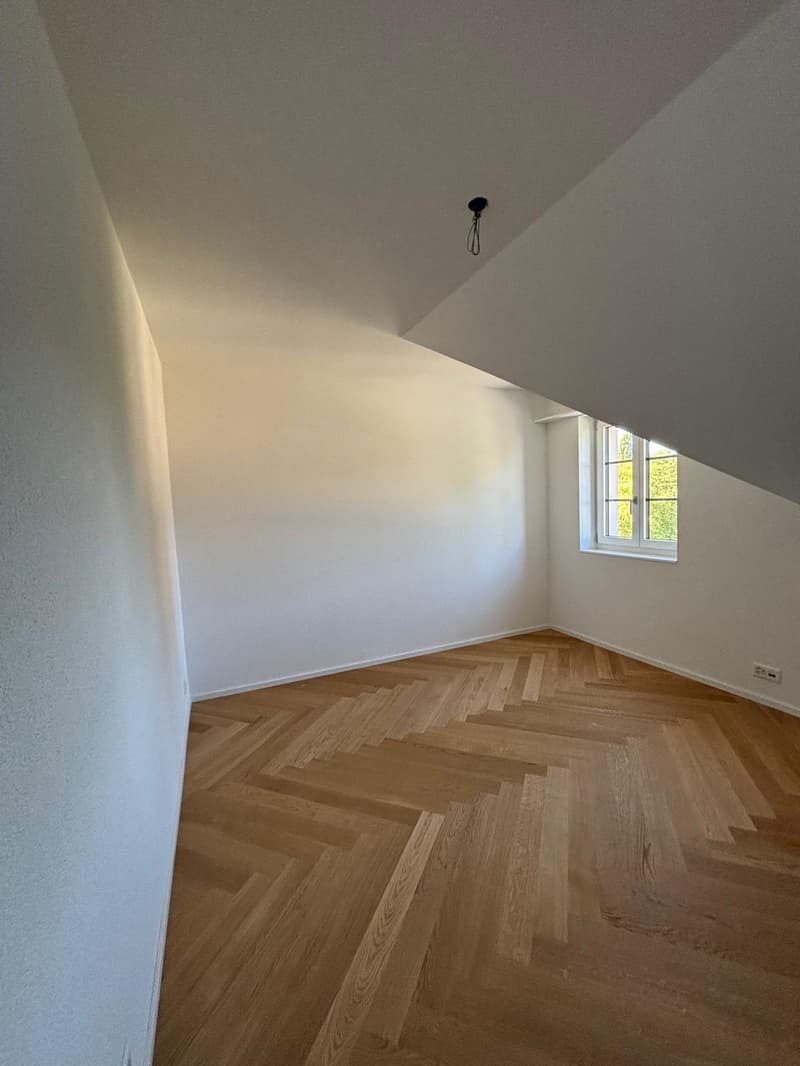 Wunderschöne, frisch kernsanierte Maisonette-Wohnung – sofort verfügbar! (5)