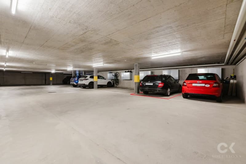 Appartamento Minergie moderno con idillio giardino in posizione centrale (15)