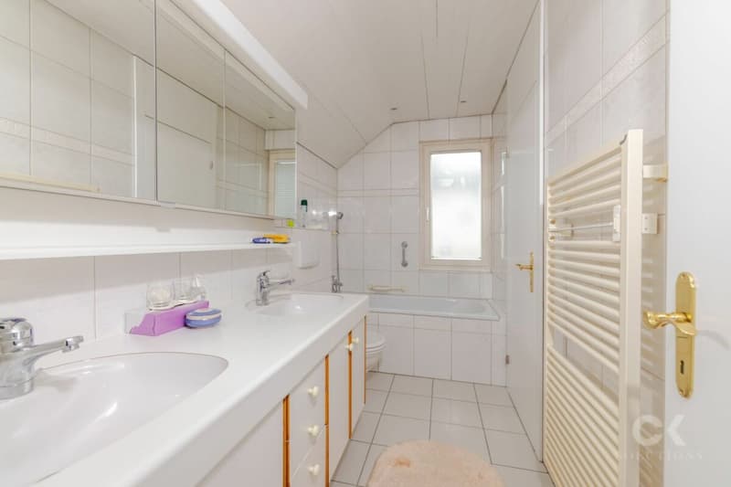 Exclusive single-family house on Rosenberg (8)