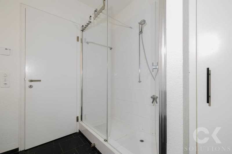 Grosszügige 5-Zimmer-Gartenwohnung in Oberwil - Wohnen mit Stil, Raum und Natur (10)