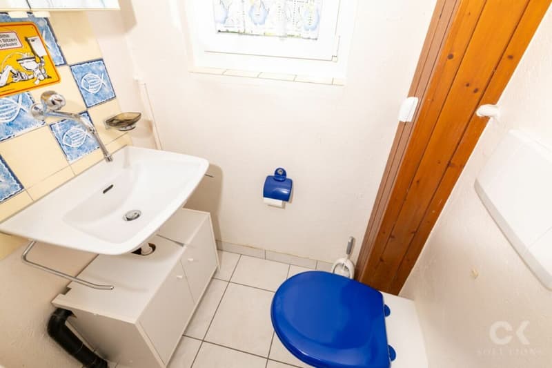 Charmantes Zuhause mit grossem Garten und viel Potenzial (11)