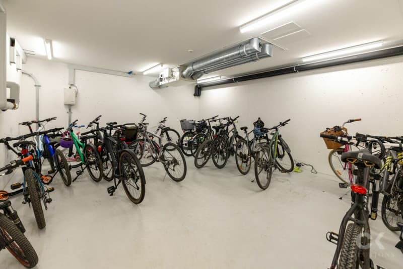 Exklusive Gartenwohnung an bester Lage in Bottmingen! (25)