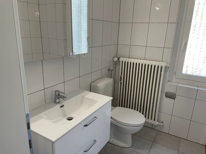 Bathroom with white tiles, white sink, white toilet, white radiator, mirror, window