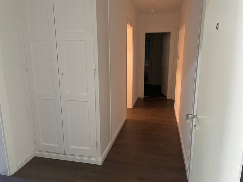 Empty hallway with white walls, wooden floor, and white doors.