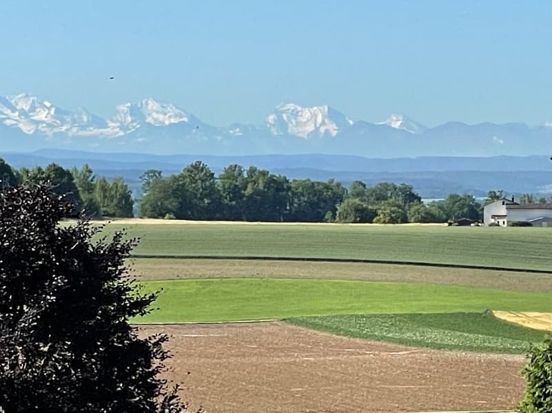 Wide open field with green grass, trees, and mountains in the background