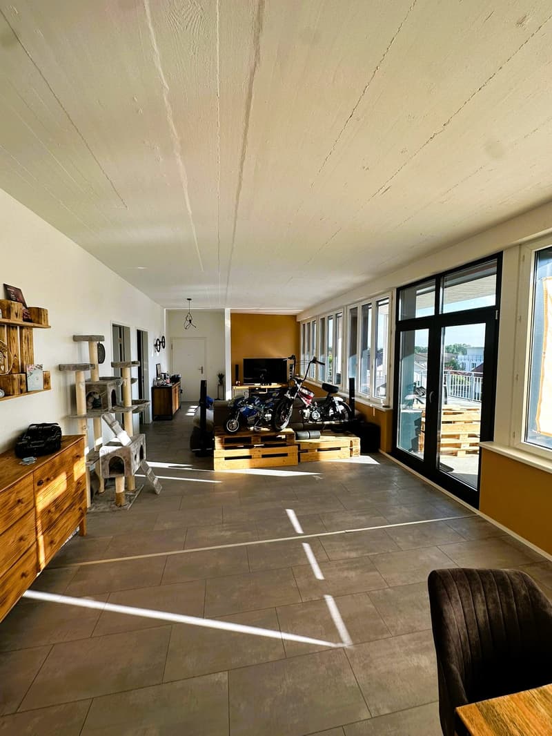 large room, wooden floor, white walls, large windows, wooden furniture, cat tree, motorcycles, television, balcony