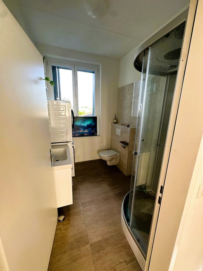 modern bathroom with shower, toilet, sink, washing machine, window