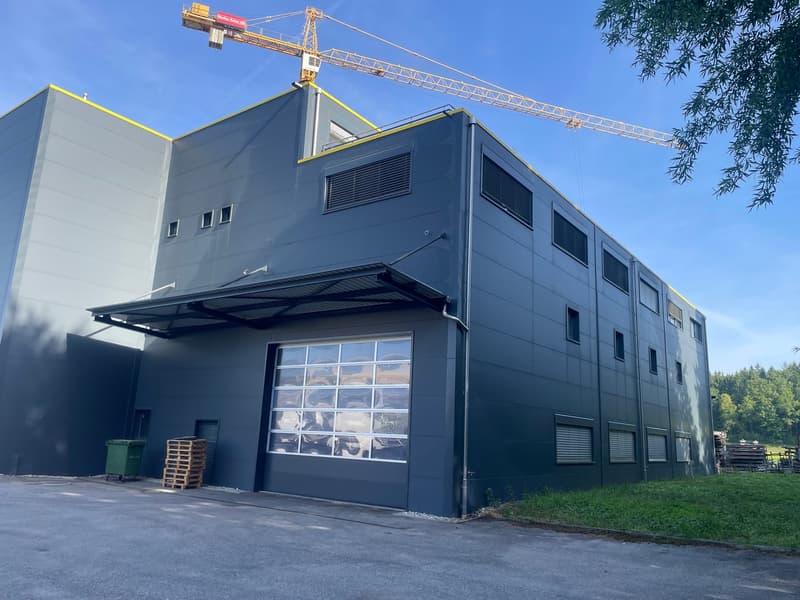 Gewerbe- und Industriehalle zur Miete in Bannwil (2)
