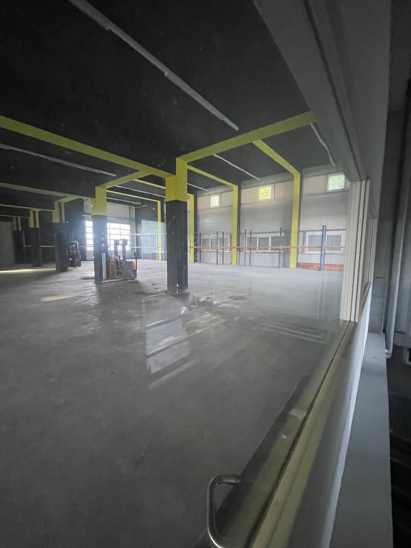 Gewerbe- und Industriehalle zur Miete in Bannwil (3)