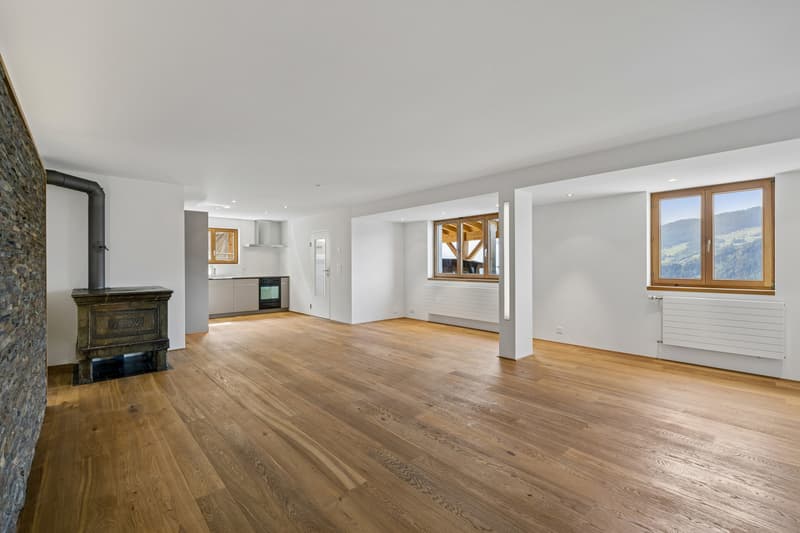 EG Wohnung Wohnzimmer