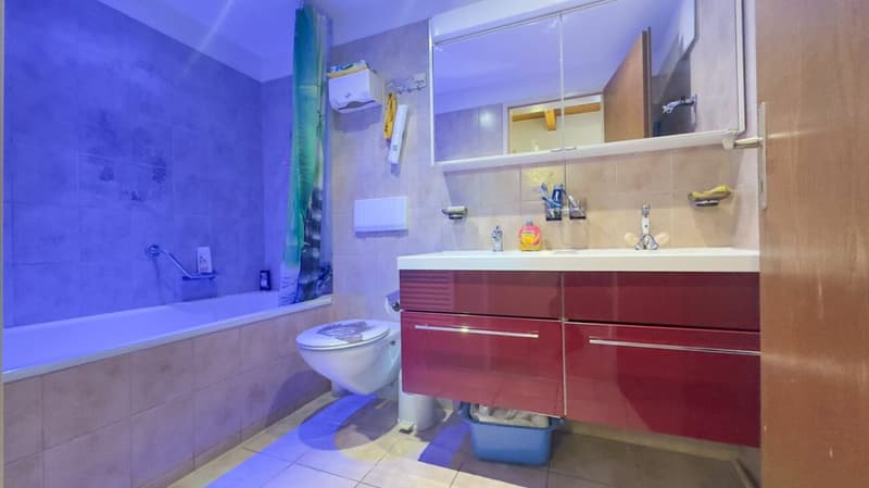 Appartement en mansarde central à Aarwangen (3)