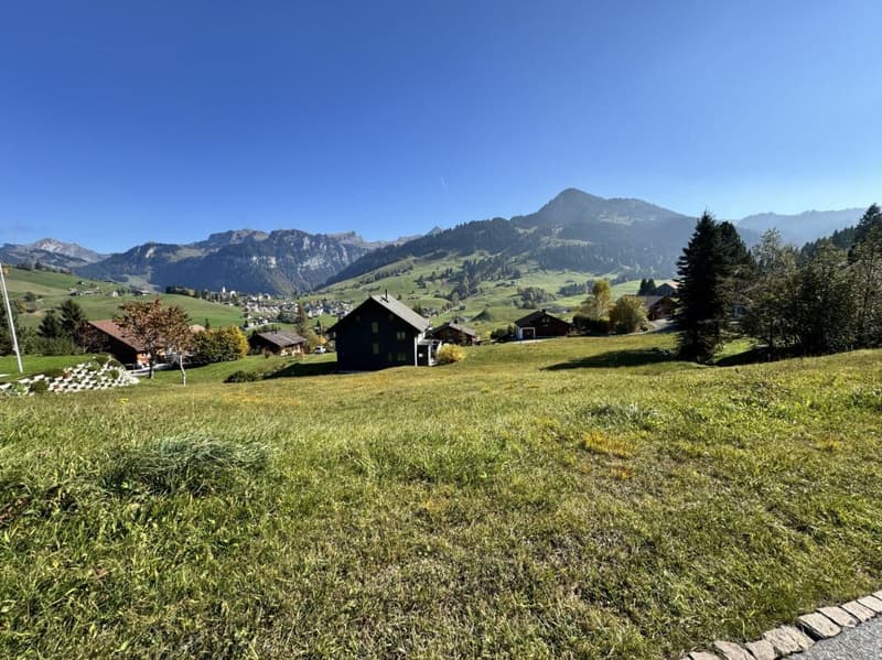 Neubau, 5.5 Zi. Einfamilienhaus mit wunderschönem Ausblick (2)