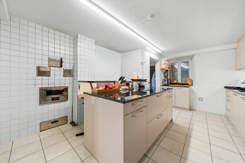 Vuoi costruire appartamenti? E allo stesso tempo vivere in una casa unifamiliare rinnovata e moderna? Allora sei nel posto giusto! (14)